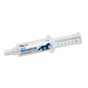 Electrolyte Gel