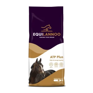 ATP Plus