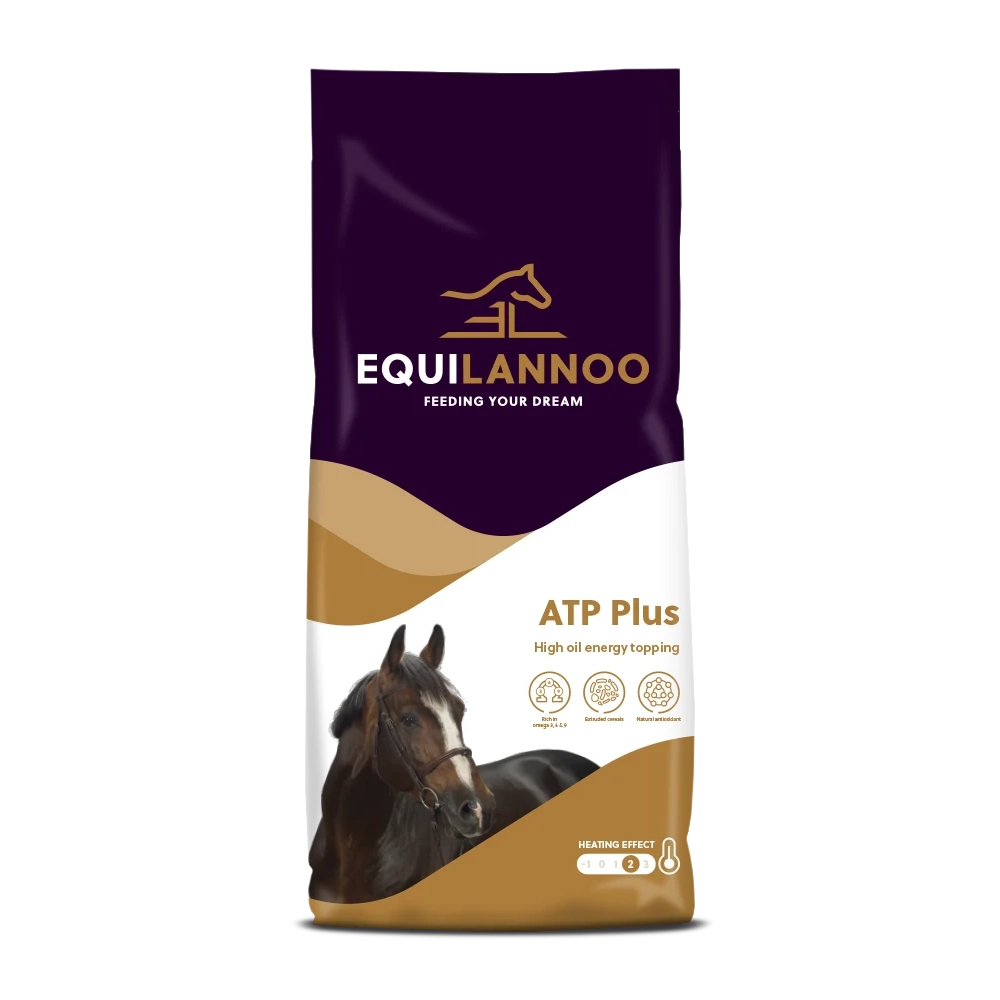 ATP Plus