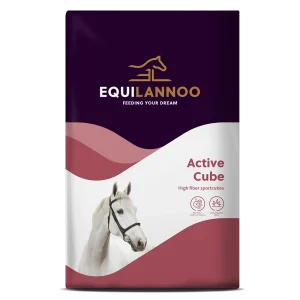 Active Cube