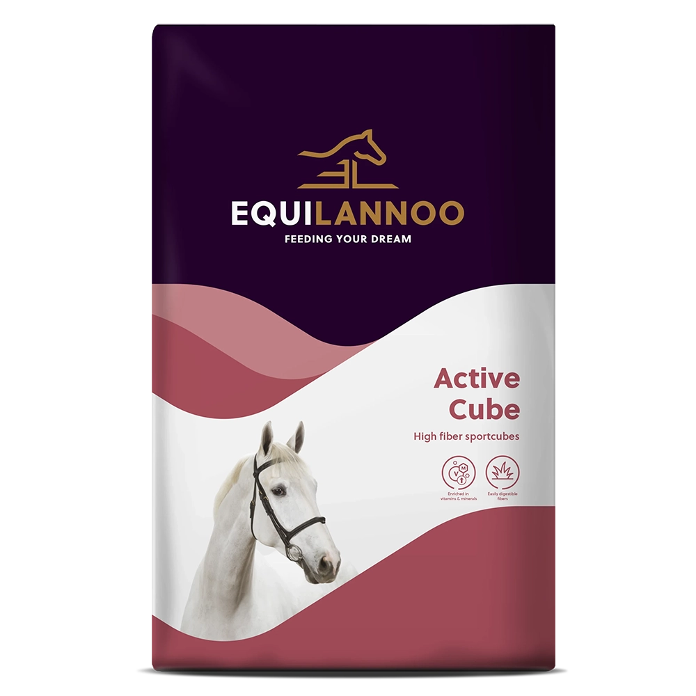 Active Cube