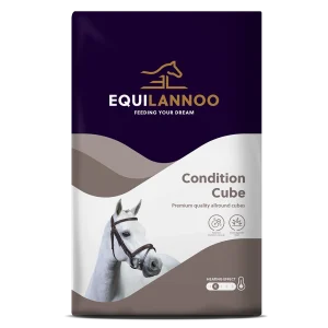 Condition Cube