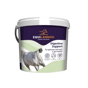 Digestive Support
