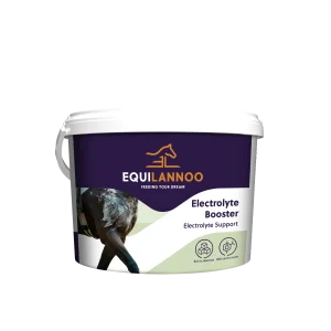 Electrolyte Booster