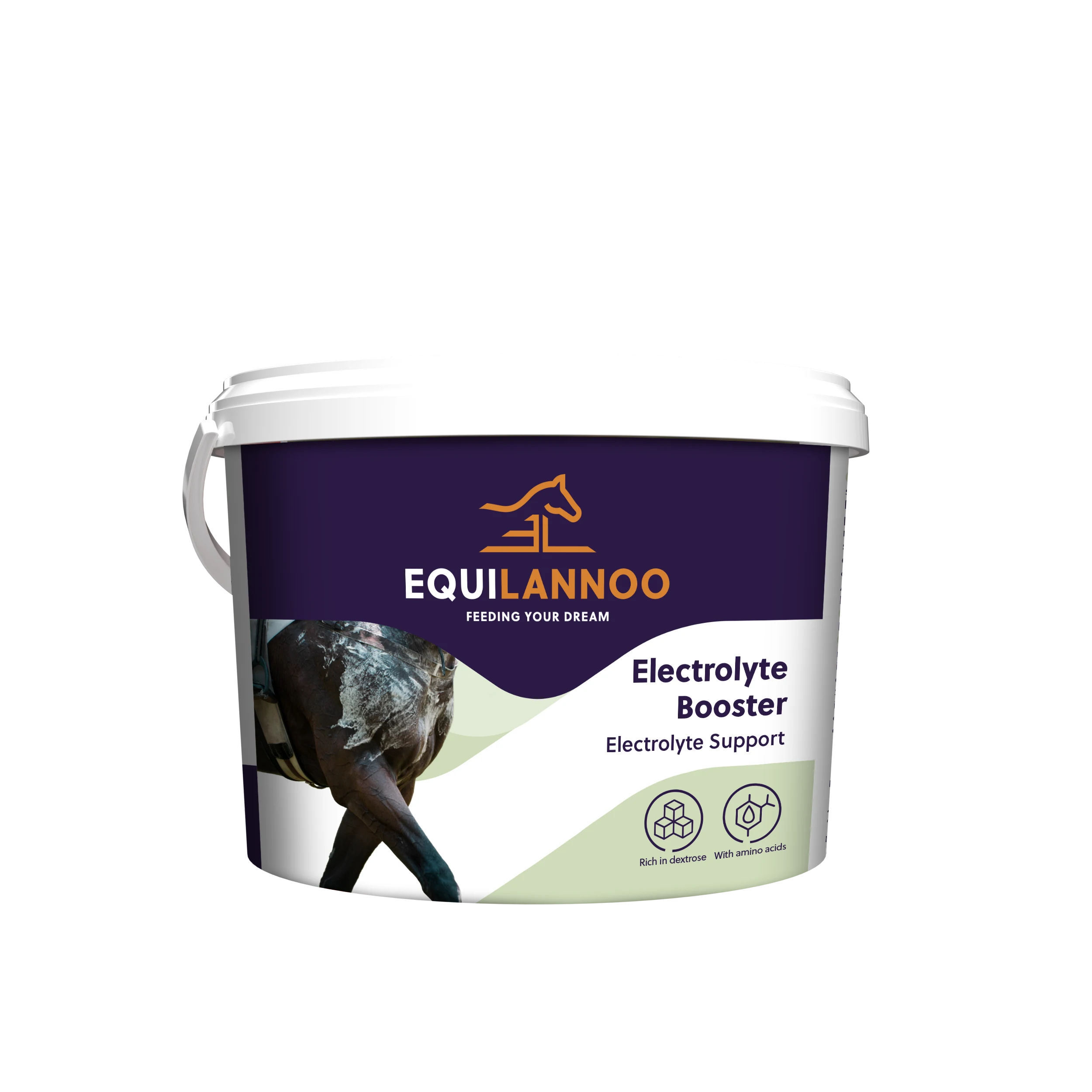 Electrolyte Booster