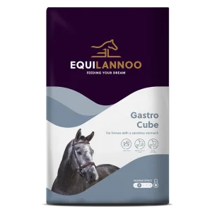 Gastro Cube