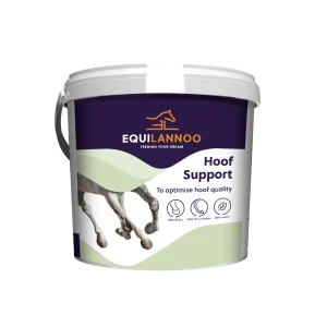 Hoof Support