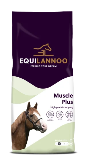 Muscle Plus