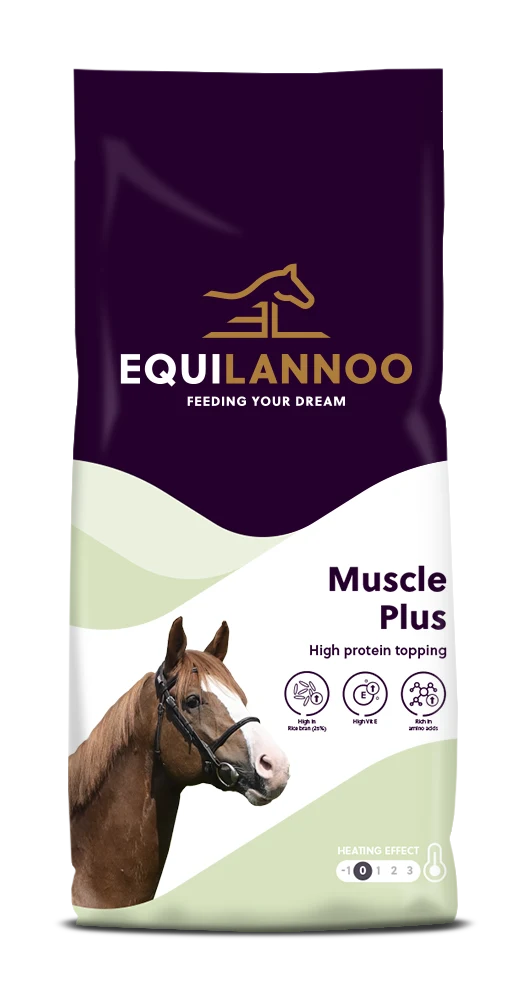 Muscle Plus