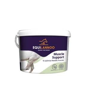Muscle Support