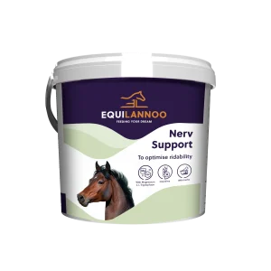 Nerv Support