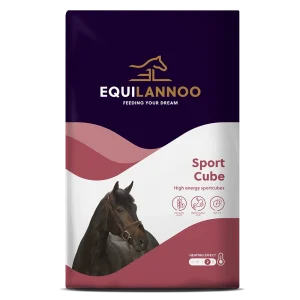 Sport Cube