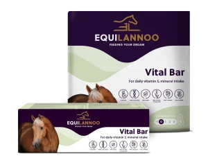 Vital Bar