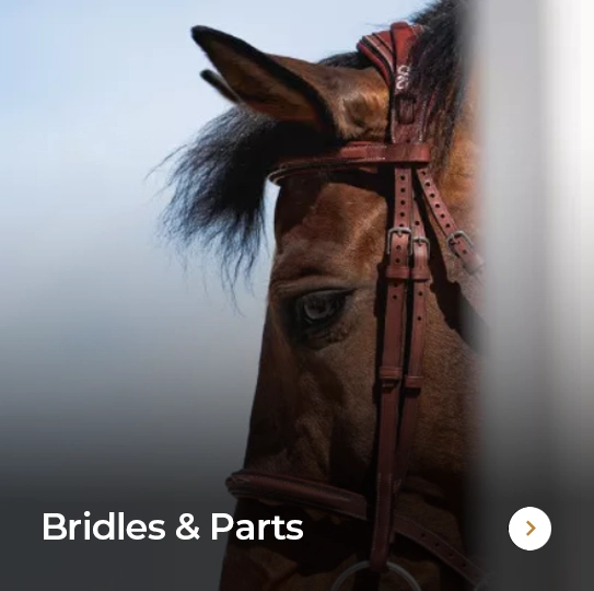 Bridles & Parts Bridles & Parts