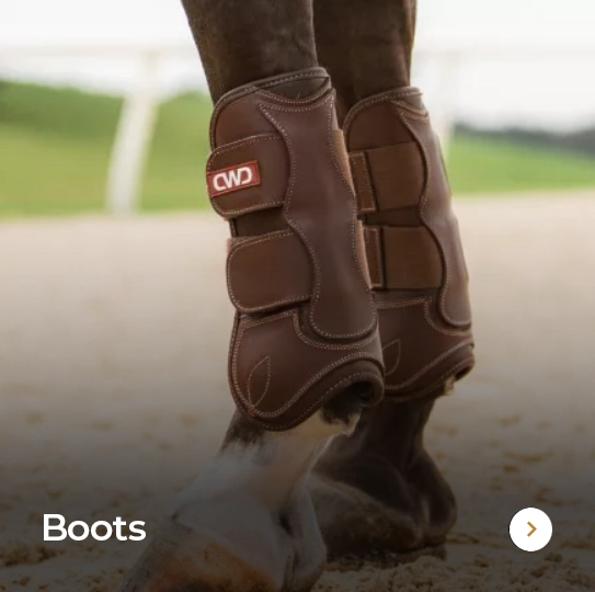Boots Boots