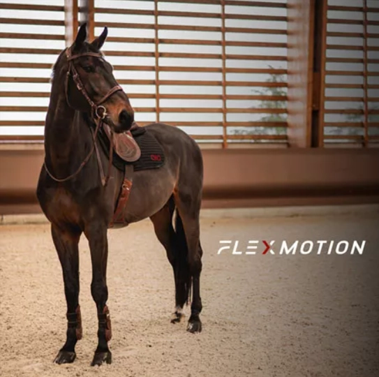 FlexMotion FlexMotion