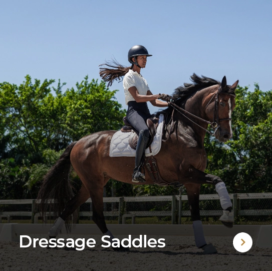 Dressage Saddles Dressage Saddles