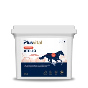 ATP-10