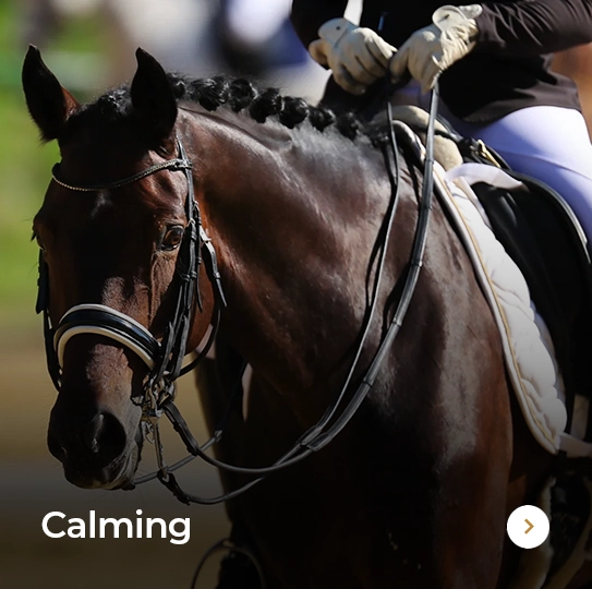 Plusvital Page Calming