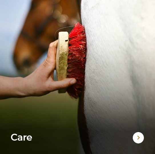 Plusvital Page Care