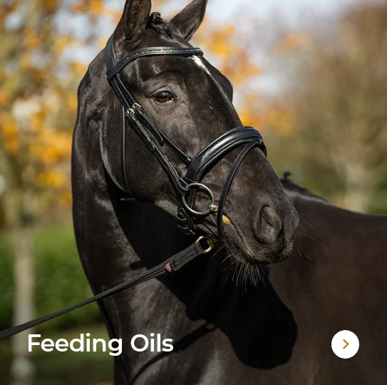 Plusvital Page Feeding Oils