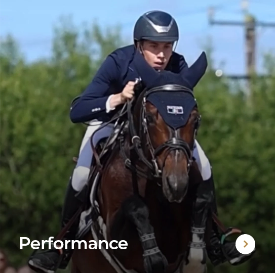 Plusvital Page Performance