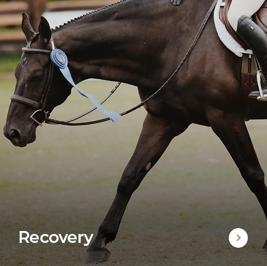 Plusvital Page Recovery