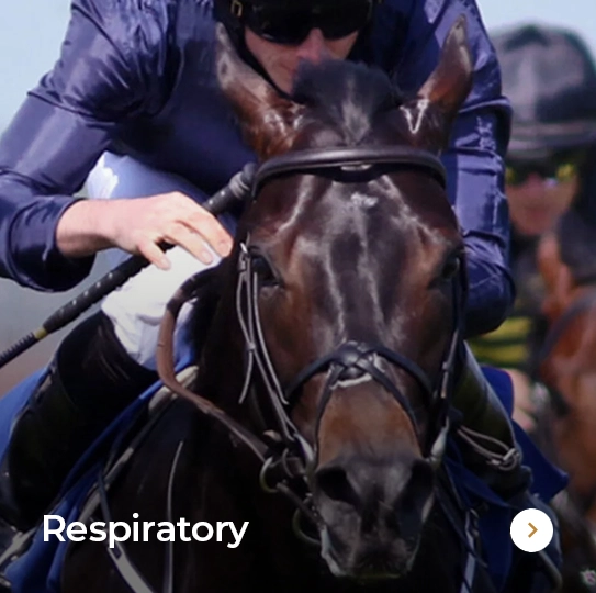 Plusvital Page Respiratory
