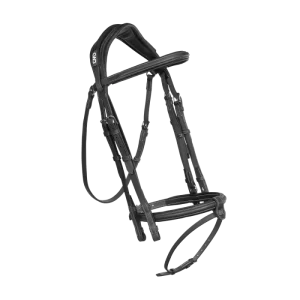 Anatomic bridle