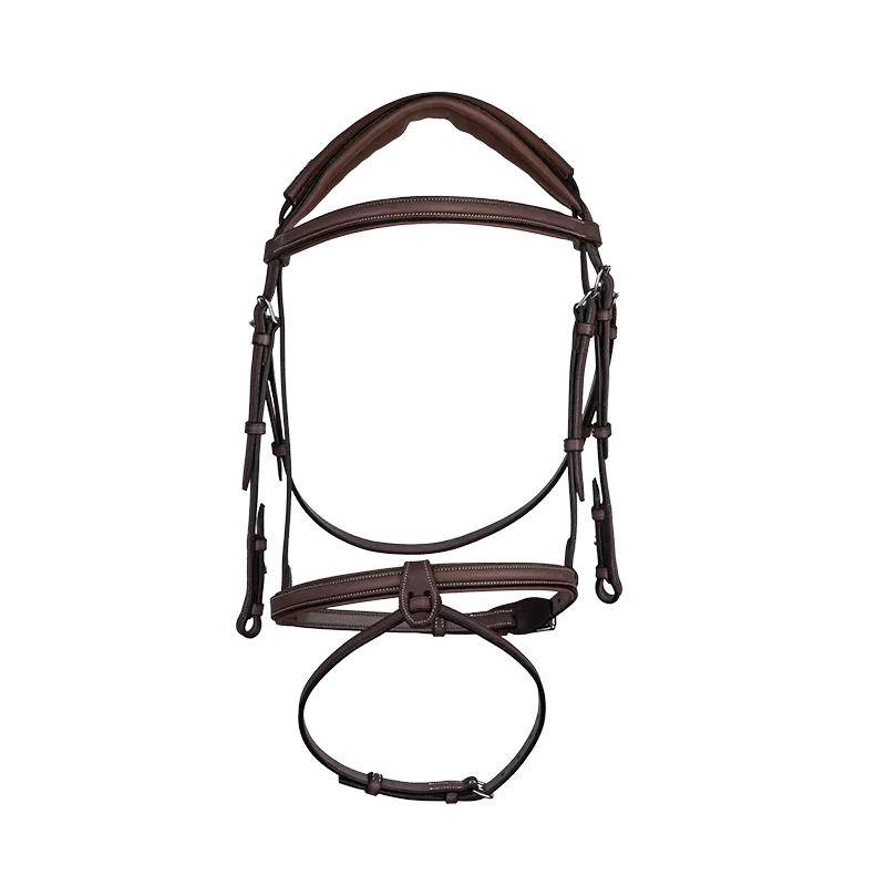 Anatomic french noseband bridle