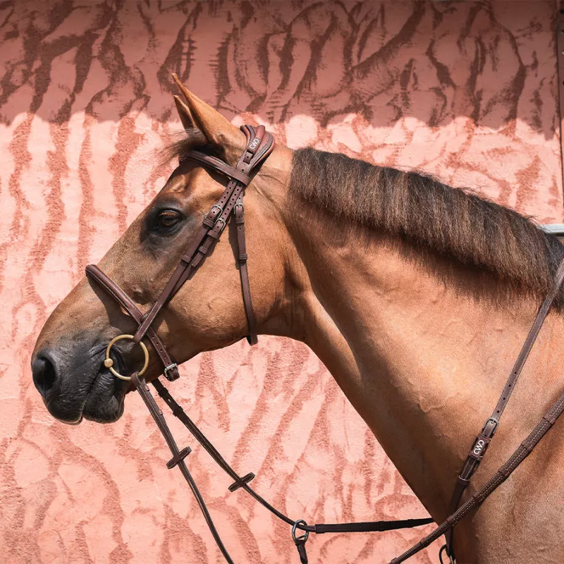 Anatomic french noseband bridle - Image 4