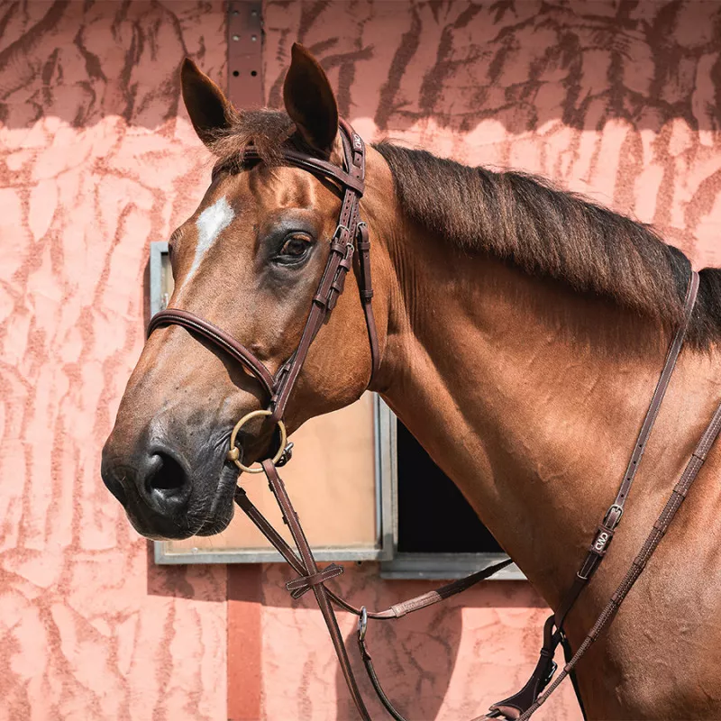 Anatomic french noseband bridle - Image 3