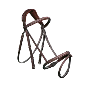 Anatomic french noseband bridle with fancy stitching