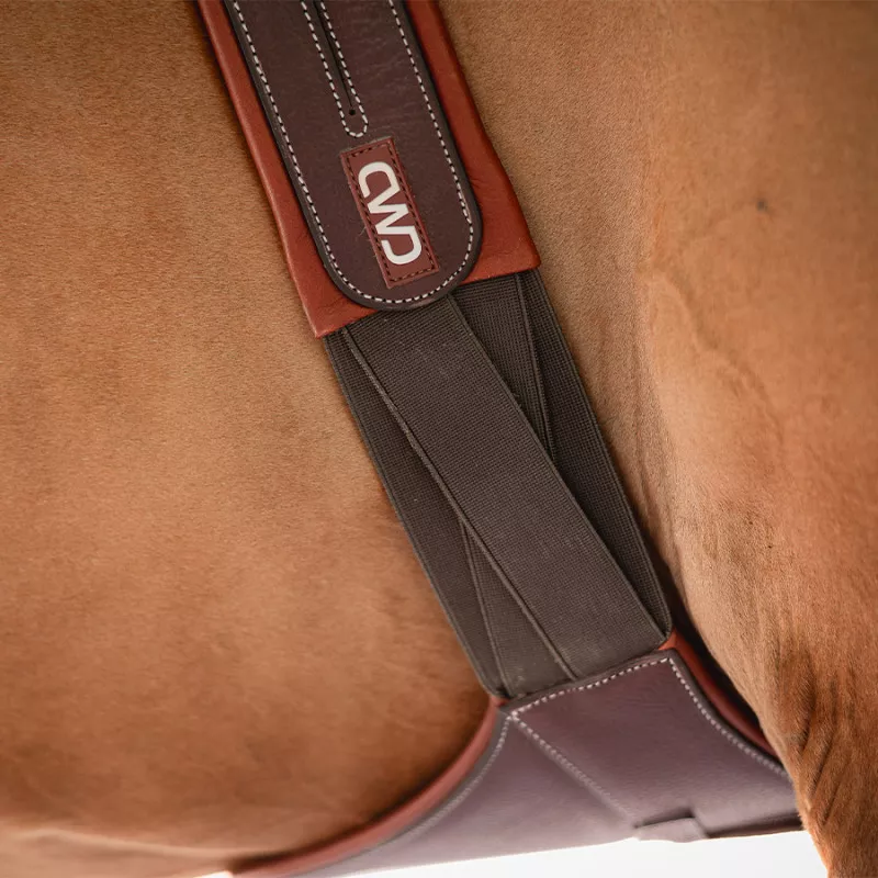 Belly guard girth - Image 4