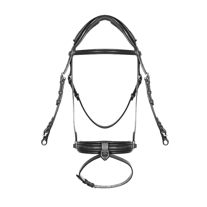 Dressage contact bridle - Image 2