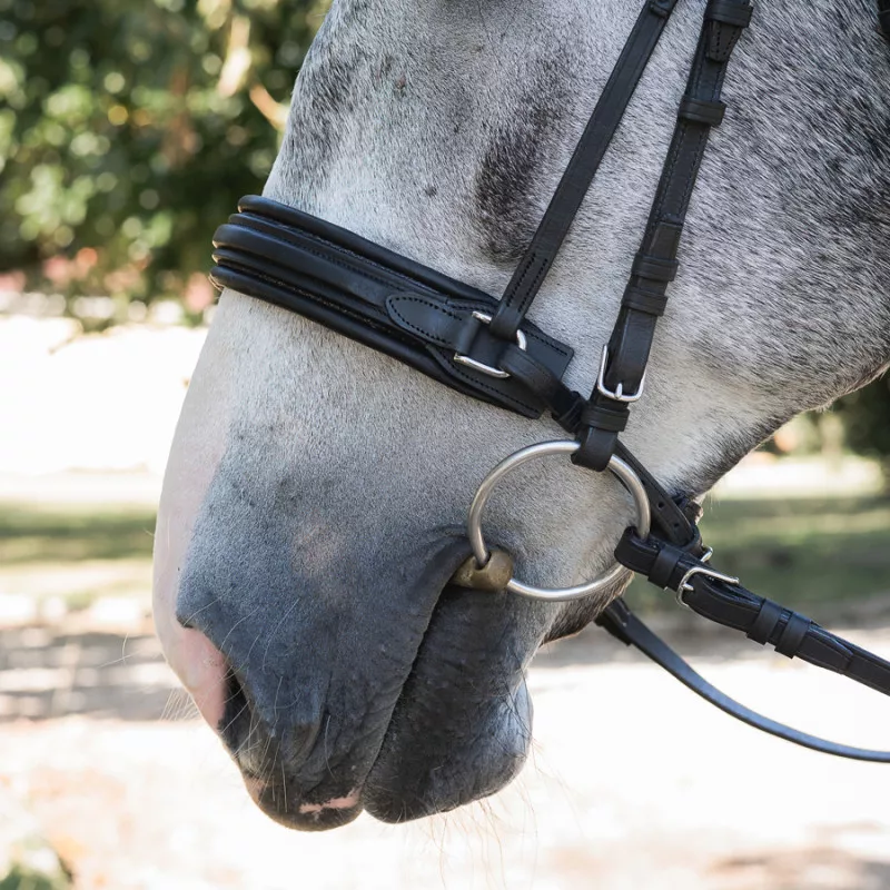 Dressage contact bridle - Image 6