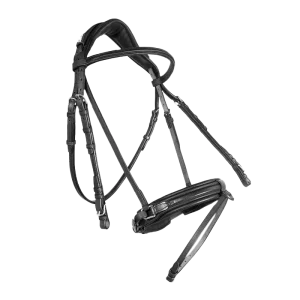 Dressage contact bridle