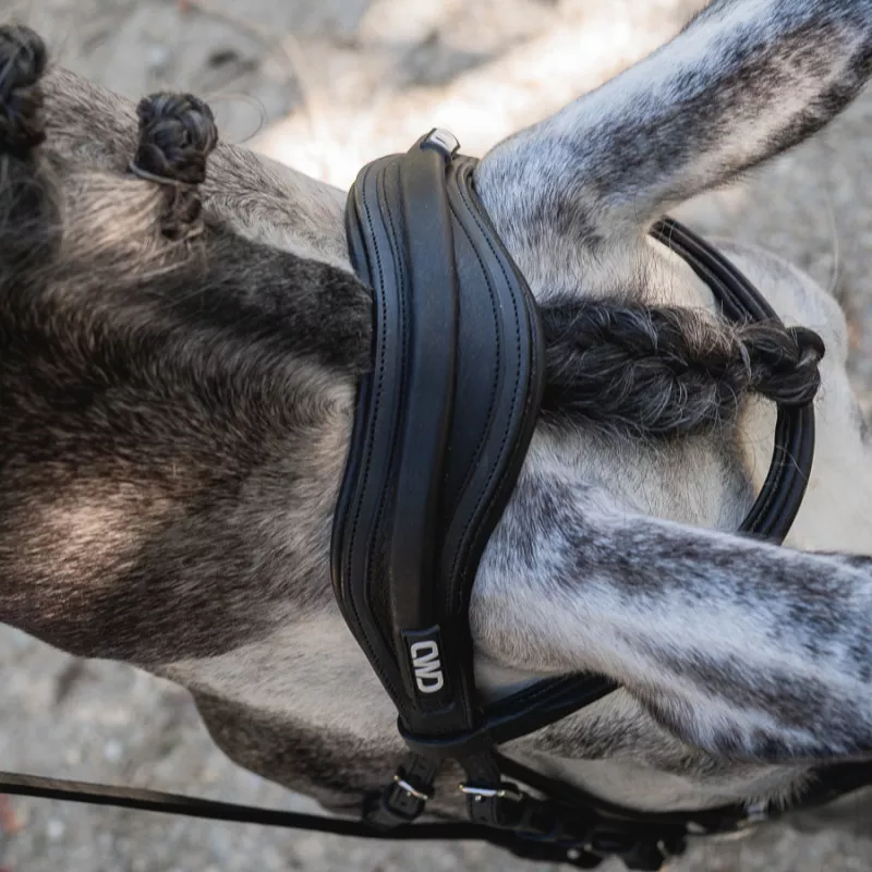 Dressage contact bridle - Image 5