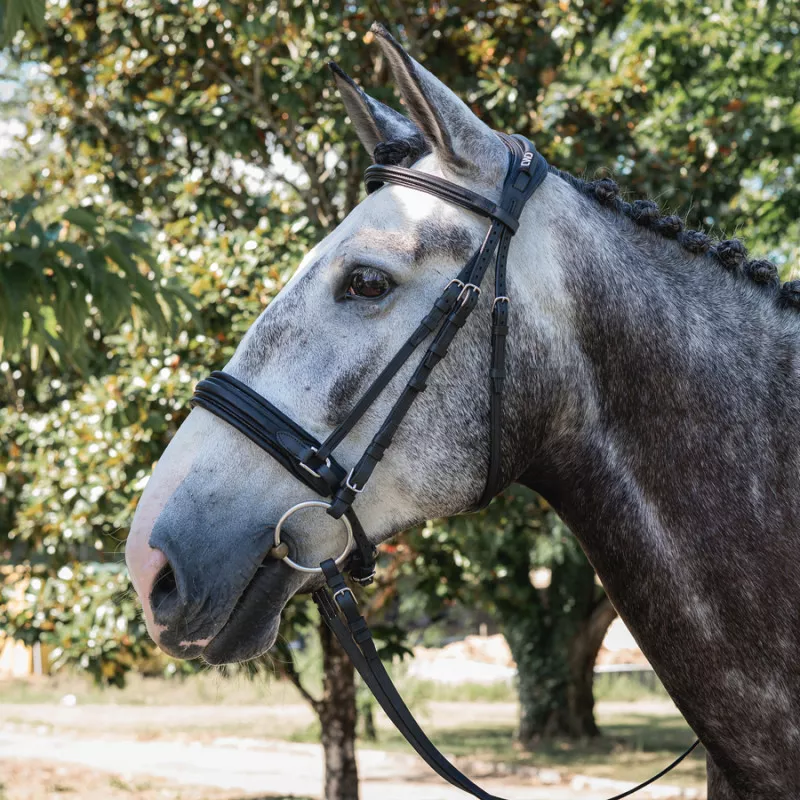 Dressage contact bridle - Image 4
