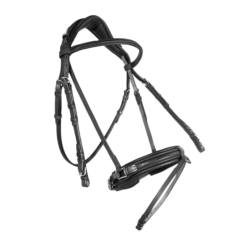 Dressage contact bridle