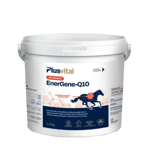 energene q10