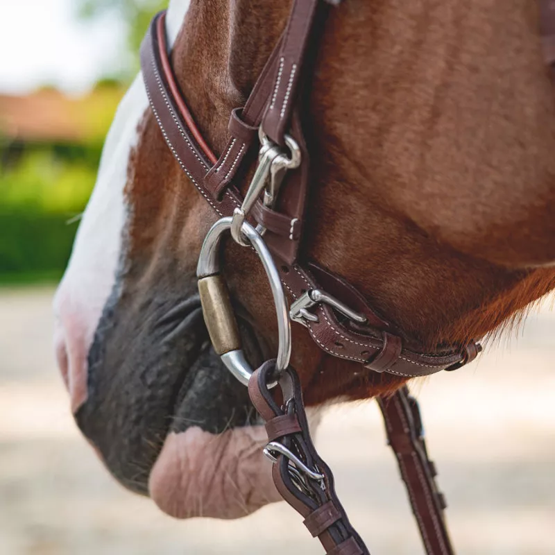 French noseband training bridle - Image 7