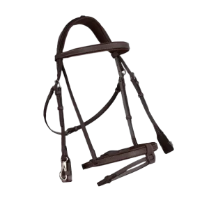French noseband training bridle