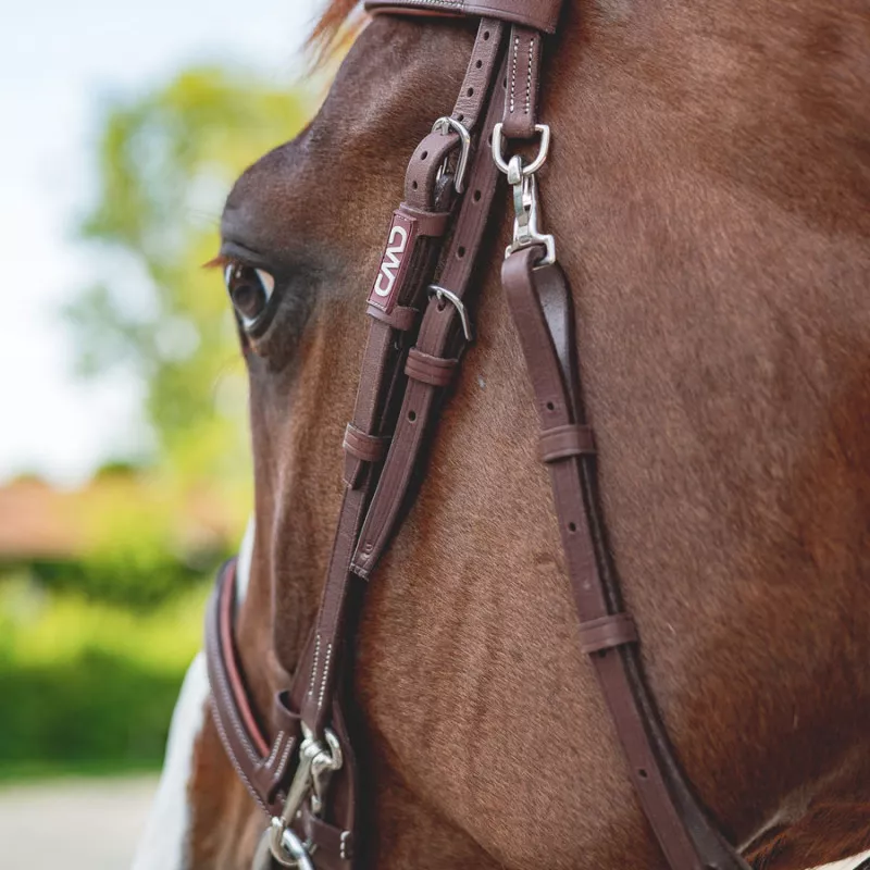 French noseband training bridle - Image 5