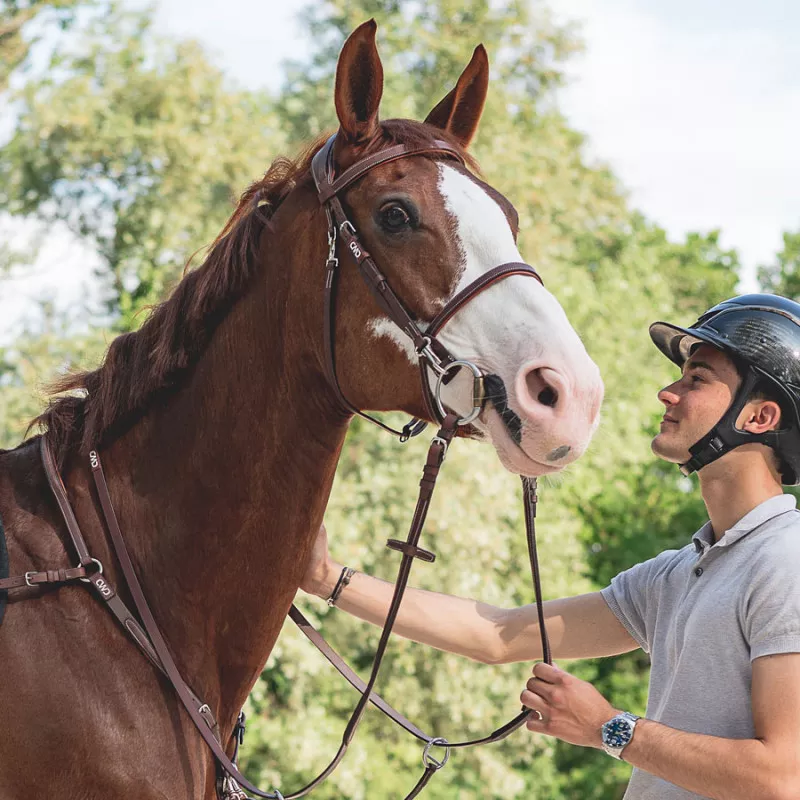 French noseband training bridle - Image 4