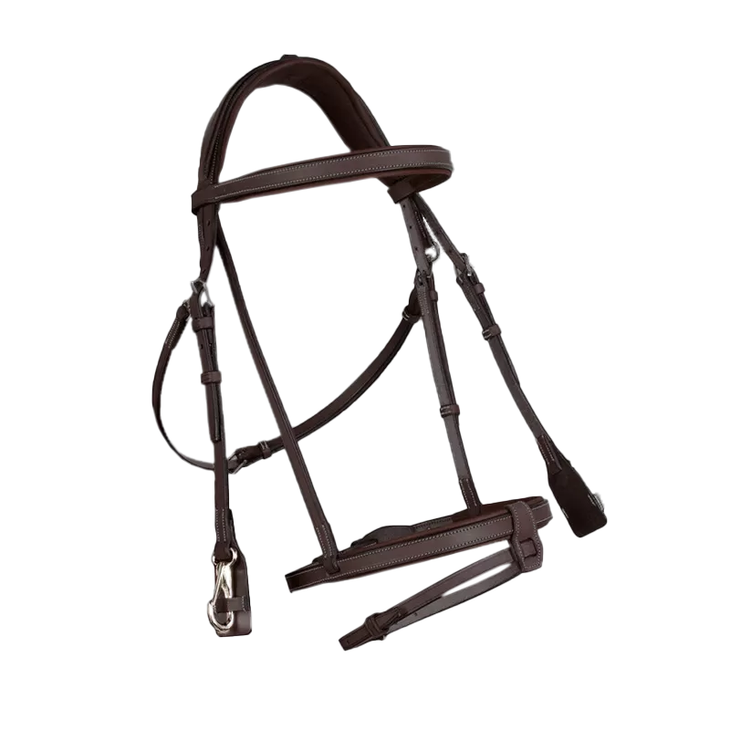 French noseband training bridle