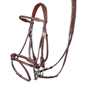 Kevin Staut bridle + reins