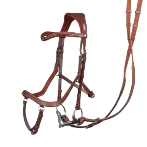 Rolf-Goran Bengtsson bridle + reins