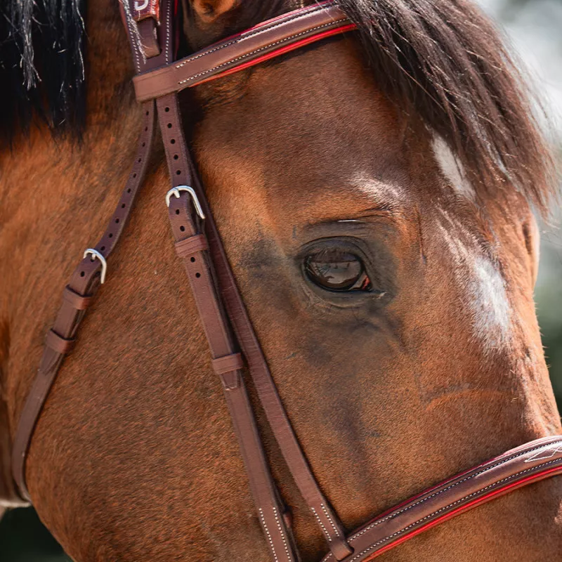 Sport Color Anatomic french noseband bridle with stitching - Image 3