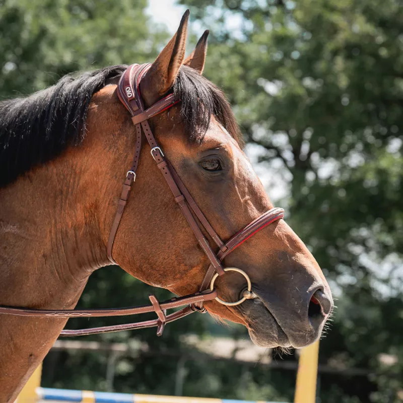 Sport Color Anatomic french noseband bridle with stitching - Image 2